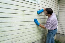 Best Insulated Siding Installation  in River Ridge, FL